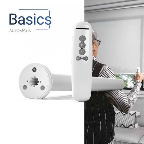 Automate Basics RF Motor & 5 Channel Remote Control