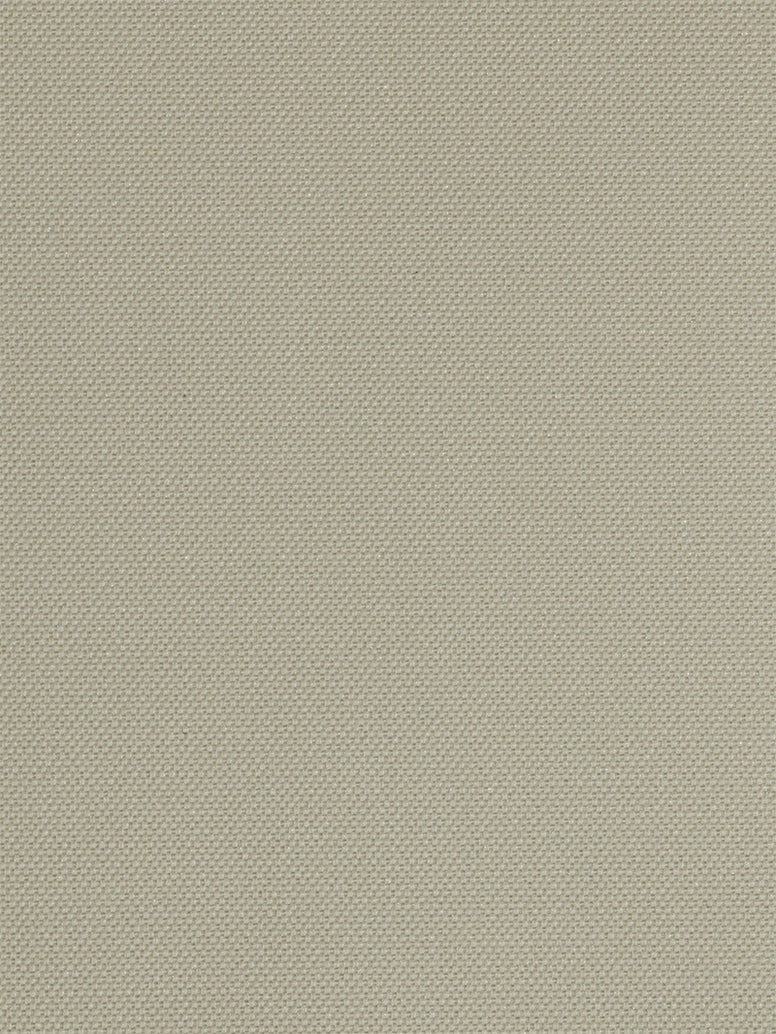 Palm Beach (New Colours) (945mm X 1978mm)